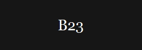 B23