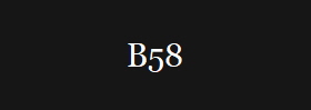 B58