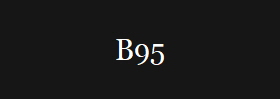 B95