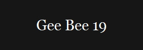 Gee Bee 19