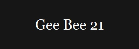 Gee Bee 21