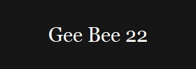 Gee Bee 22