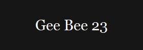 Gee Bee 23