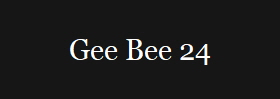Gee Bee 24