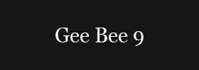 Gee Bee 9