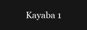 Kayaba 1