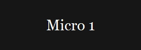 Micro 1