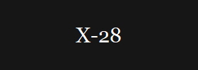 X-28